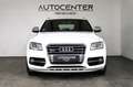 Audi SQ5 3.0 TDI Competition Quattro S-Line MMI SHZ Weiß - thumbnail 2