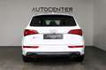 Audi SQ5 3.0 TDI Competition Quattro S-Line MMI SHZ Weiß - thumbnail 4