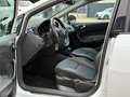 SEAT Ibiza 1.0 TSI DSG Connect *Bi-Xenon Tempomat Weiß - thumbnail 11