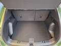 Ford Kuga 2,5l Active PHEV 243PS Grün - thumbnail 7
