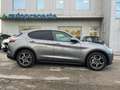 Alfa Romeo Stelvio Stelvio 2020 2.2 t Business rwd 160cv auto Grigio - thumbnail 4