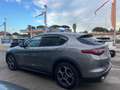 Alfa Romeo Stelvio Stelvio 2020 2.2 t Business rwd 160cv auto Grigio - thumbnail 9