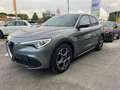 Alfa Romeo Stelvio Stelvio 2020 2.2 t Business rwd 160cv auto Grigio - thumbnail 11