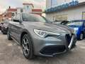 Alfa Romeo Stelvio Stelvio 2020 2.2 t Business rwd 160cv auto Grigio - thumbnail 1