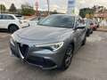 Alfa Romeo Stelvio Stelvio 2020 2.2 t Business rwd 160cv auto Grigio - thumbnail 10