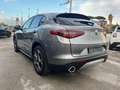 Alfa Romeo Stelvio Stelvio 2020 2.2 t Business rwd 160cv auto Grigio - thumbnail 8