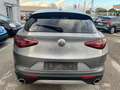 Alfa Romeo Stelvio Stelvio 2020 2.2 t Business rwd 160cv auto Grigio - thumbnail 6