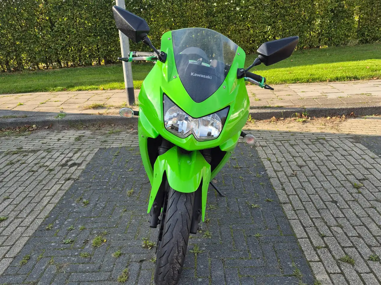 Kawasaki Ninja 250 R