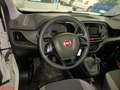 Fiat Doblo Doblò 1.6 MJT 120CV S&S XL MAXI TRASPORTO DISABILI - thumbnail 12