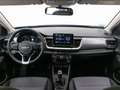 Kia Stonic 1.0 T-GDi MHEV Concept 100 Blu/Azzurro - thumbnail 15