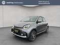 smart forFour forfour EQ prime Exclusive 22KW Navi LED Panodach Grau - thumbnail 1