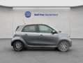 smart forFour forfour EQ prime Exclusive 22KW Navi LED Panodach Grau - thumbnail 7