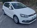 Volkswagen Polo 1.4 TDI 90 CV 5p Comfortline BlueMotion Technology Bianco - thumbnail 2