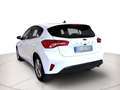 Ford Focus 1.5 ecoblue Business s&s 95cv -- IVA ESCLUSA -- Bianco - thumbnail 8