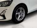 Ford Focus 1.5 ecoblue Business s&s 95cv -- IVA ESCLUSA -- Bianco - thumbnail 4