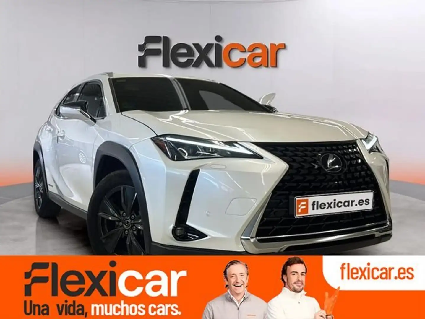 Lexus UX 250h 2.0 Business Blanco - 1