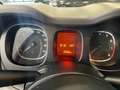 Fiat Panda Panda III 2021 1.0 firefly hybrid 70 cv Gris - thumbnail 12