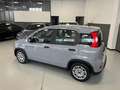 Fiat Panda Panda III 2021 1.0 firefly hybrid 70 cv Gris - thumbnail 5