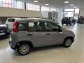 Fiat Panda Panda III 2021 1.0 firefly hybrid 70 cv Gris - thumbnail 4