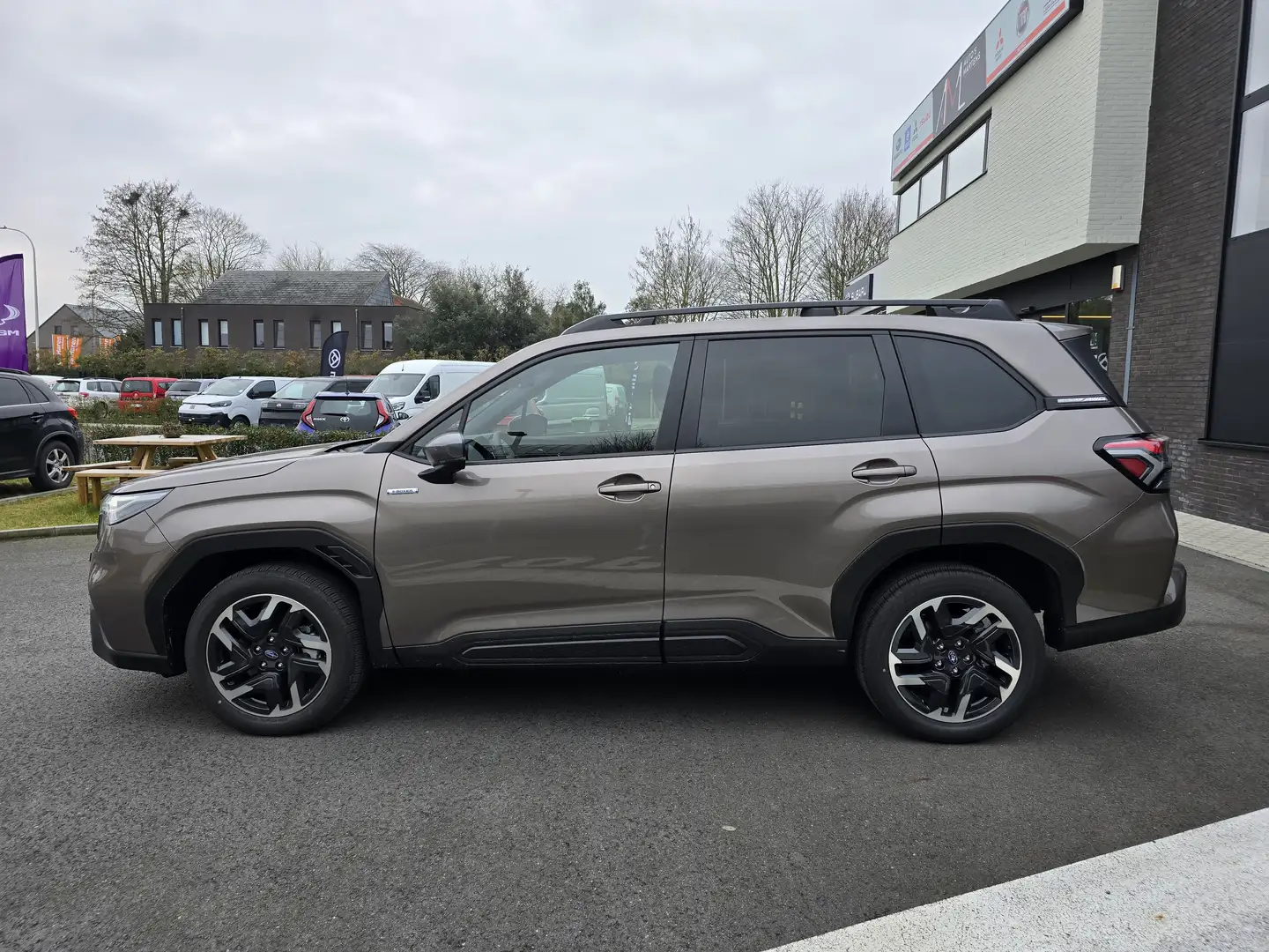 Subaru Forester Forester 2.0i e-Boxer Luxury DEMO Bronze - 2