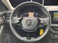 Skoda Kamiq TSI Clever LED AHK Navi GRA RFK SH Blau - thumbnail 17