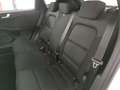 Ford Kuga 1.5 EcoBoost 150 CV 2WD ST-Line Bianco - thumbnail 3