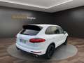 Porsche Cayenne 4.2L S Diesel  Sport Design Scheckheft Blanc - thumbnail 5