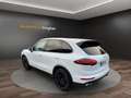 Porsche Cayenne 4.2L S Diesel  Sport Design Scheckheft Blanc - thumbnail 3