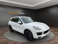 Porsche Cayenne 4.2L S Diesel  Sport Design Scheckheft Blanc - thumbnail 7