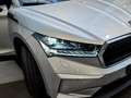 Skoda Enyaq iV 80 Argent - thumbnail 20