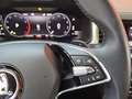 Skoda Kodiaq 7-Sitzer Ambition TSI ACT DSG Gris - thumbnail 11