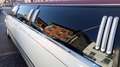 Lincoln Town Car - thumbnail 12