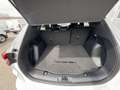 Ford Kuga 2,5 Duratec PHEV ST-Line Aut. Weiß - thumbnail 6