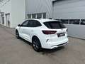 Ford Kuga 2,5 Duratec PHEV ST-Line Aut. Weiß - thumbnail 4