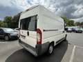 Fiat Ducato Ducato Tôlé Pack Professional 3.3 M H2 2.0 Multije Alb - thumbnail 7