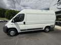Fiat Ducato Ducato Tôlé Pack Professional 3.3 M H2 2.0 Multije Alb - thumbnail 4