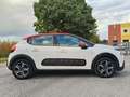 Citroen C3 C3 2019 1.5 bluehdi Shine s WRC AUTO SRL Blanc - thumbnail 6