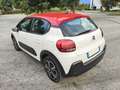 Citroen C3 C3 2019 1.5 bluehdi Shine s WRC AUTO SRL Blanc - thumbnail 8