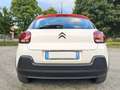 Citroen C3 C3 2019 1.5 bluehdi Shine s WRC AUTO SRL Blanc - thumbnail 9