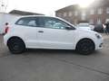 Volkswagen Polo /TÜV/Wenig KM/Trendline Bianco - thumbnail 6