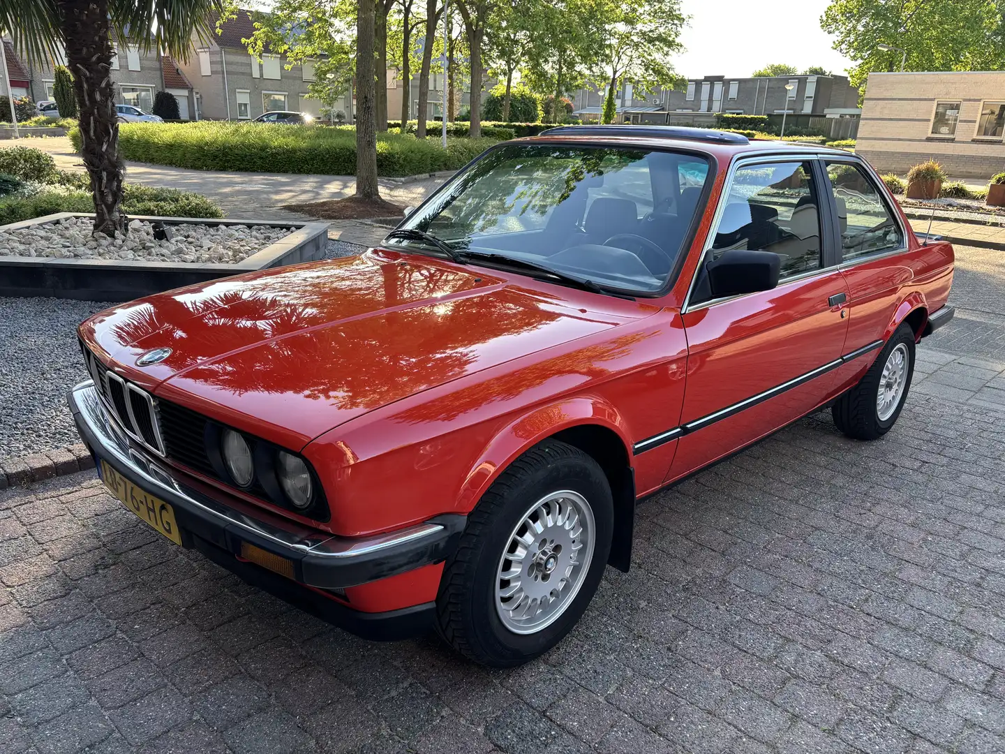BMW 316 316 Roşu - 1