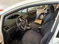 Toyota Verso Verso 2013 1.6 d-4d Business 5p. Bílá - thumbnail 12