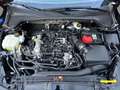 Ford Focus 1.0 Ecoboost Titanium Schwarz - thumbnail 11