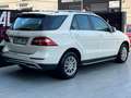Mercedes-Benz ML 250 250BlueTec 4M Edition 1 7G Plus Blanc - thumbnail 3