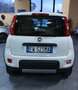 Fiat Panda Panda III 2016 4x4 0.9 t.air t. Cross 4x4 s Blanco - thumbnail 3