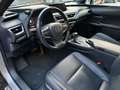 Lexus UX 200 UX 2019 250h 2.0 Premium 2wd cvt*SPLENDIDA* Gris - thumbnail 10