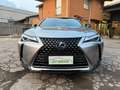 Lexus UX 200 UX 2019 250h 2.0 Premium 2wd cvt*SPLENDIDA* Gris - thumbnail 6