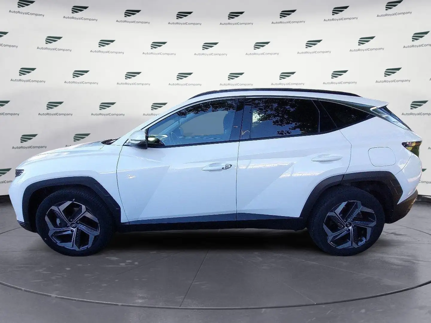 Hyundai TUCSON 1.6 HEV aut.Exellence Weiß - 2
