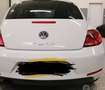 Volkswagen Beetle - thumbnail 1