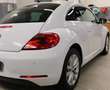 Volkswagen Beetle - thumbnail 2